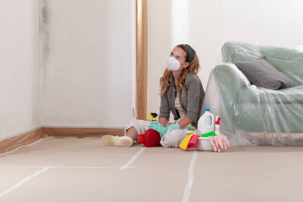 Reliable Mold Cleanup contractor in Princeton Junction, NJ by Cheap Mold Removal